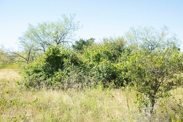 tbd Tx-36, Rising Star, TX 76471