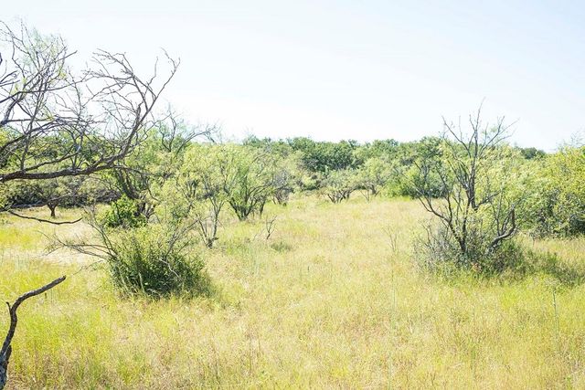 tbd Tx-36, Rising Star, TX 76471