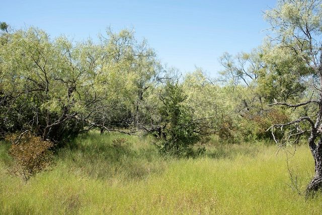 tbd Tx-36, Rising Star, TX 76471
