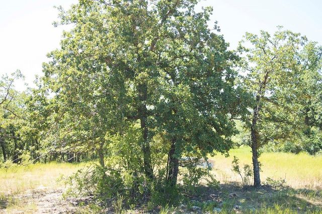 tbd Tx-36, Rising Star, TX 76471