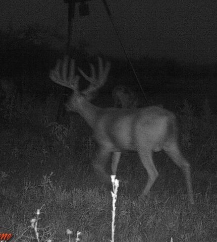 tbd Tx-36, Rising Star, TX 76471