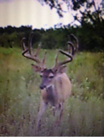 tbd Tx-36, Rising Star, TX 76471