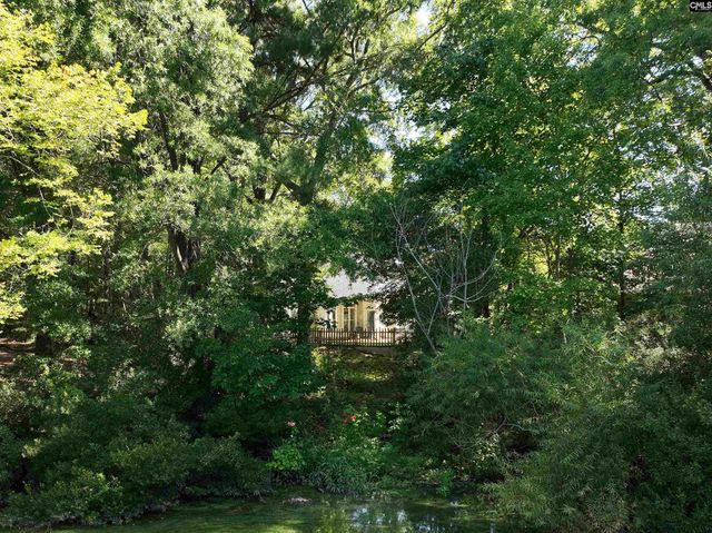 14 Saddleback Ledge Court, Irmo, SC 29063