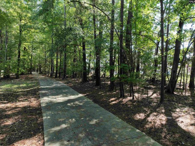 14 Saddleback Ledge Court, Irmo, SC 29063