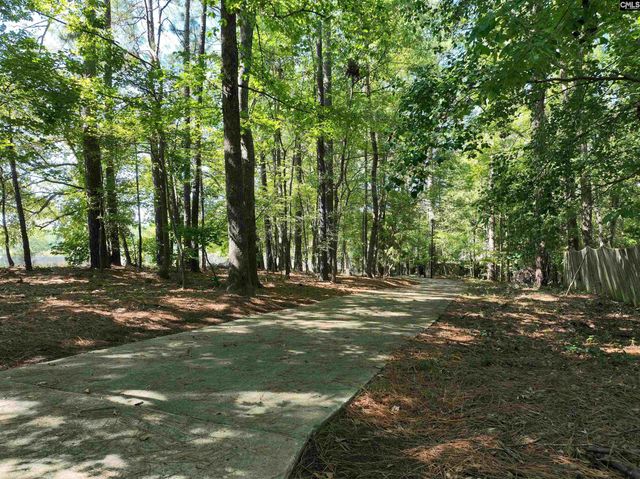 14 Saddleback Ledge Court, Irmo, SC 29063