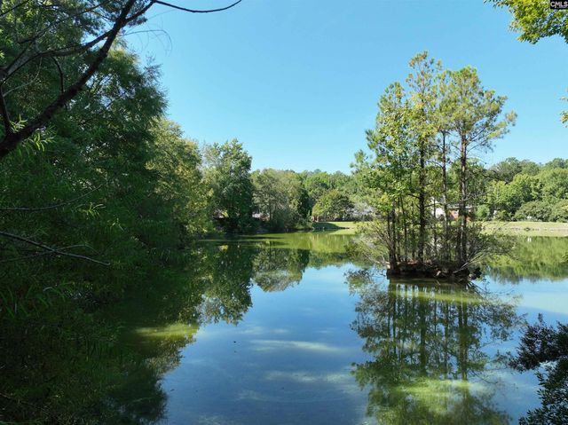 14 Saddleback Ledge Court, Irmo, SC 29063