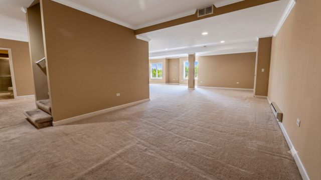 12919 Grande Pines Boulevard, Plainfield, IL 60585