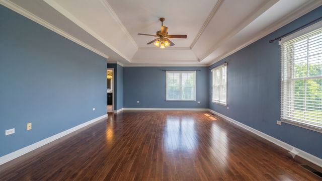 12919 Grande Pines Boulevard, Plainfield, IL 60585