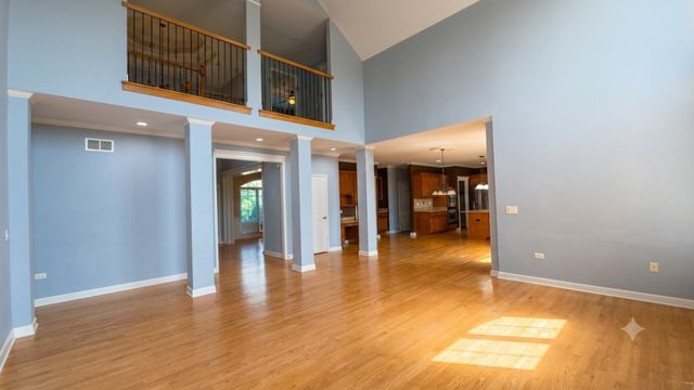 12919 Grande Pines Boulevard, Plainfield, IL 60585