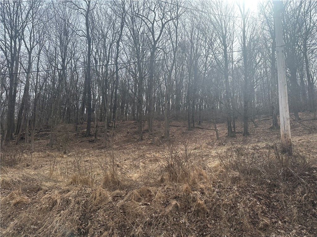 Lot 6 10 School Rd, Derry Twp, PA 15670