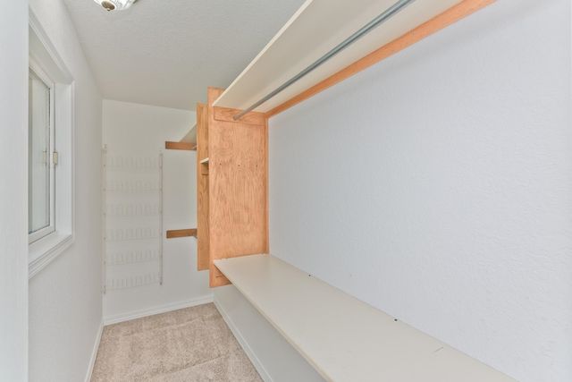 566 Sol Lane, Grand Junction, CO 81504