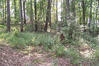 0 Bluff Line Dr, Mcminnville, TN 37110