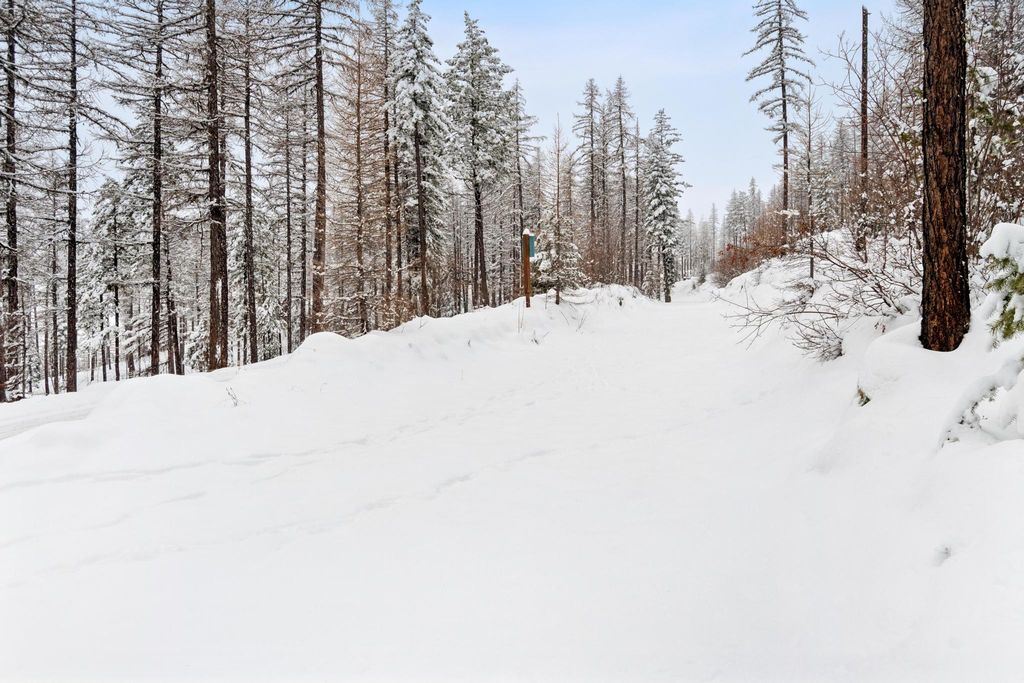 218 Elk Highlands Drive, Whitefish, MT 59937 photo 14