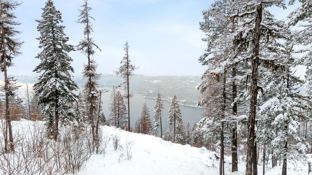 218 Elk Highlands Drive, Whitefish, MT 59937 photo 3