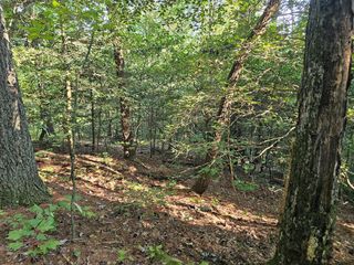 0 Bates Drive, Ellijay, GA 30540