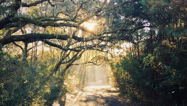 2171 Oyster Reef Lane, Mount Pleasant, SC 29466