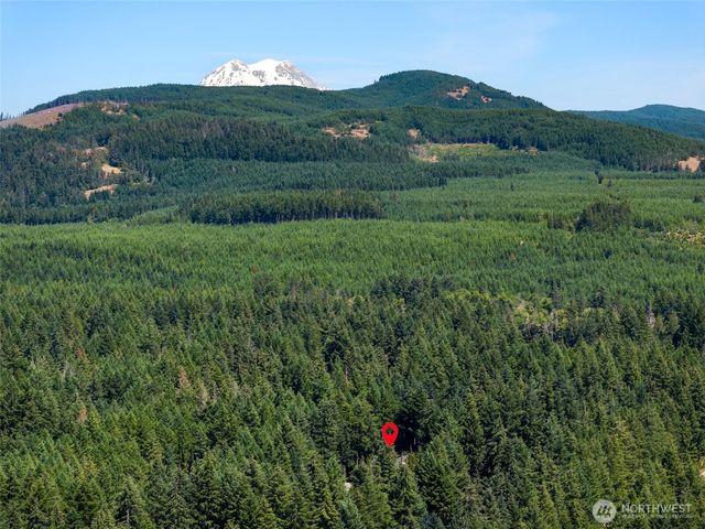 22518 Bluewater Drive SE, Yelm, WA 98597