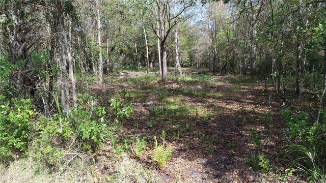CEDARHURST RD, Orlando, FL 32820