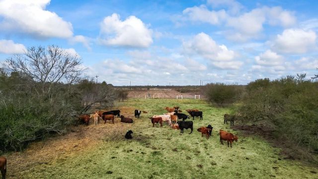 14872 Fm 359, Hempstead, TX 77445