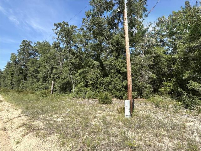 0 GLORIA AVENUE, Interlachen, FL 32148