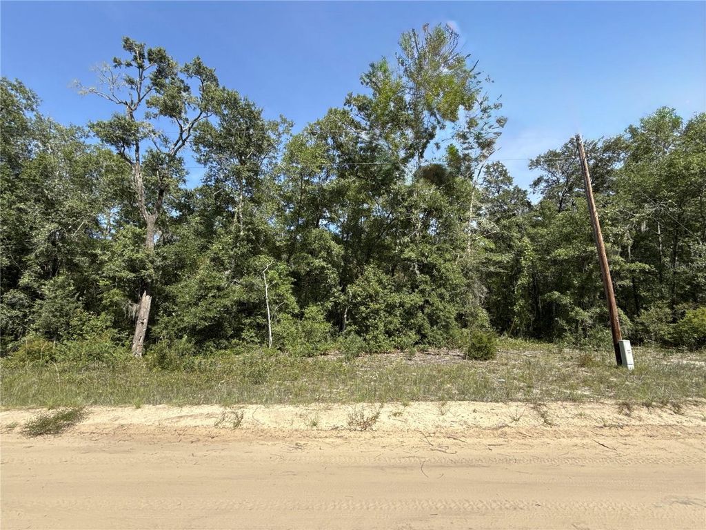 0 GLORIA AVENUE, Interlachen, FL 32148