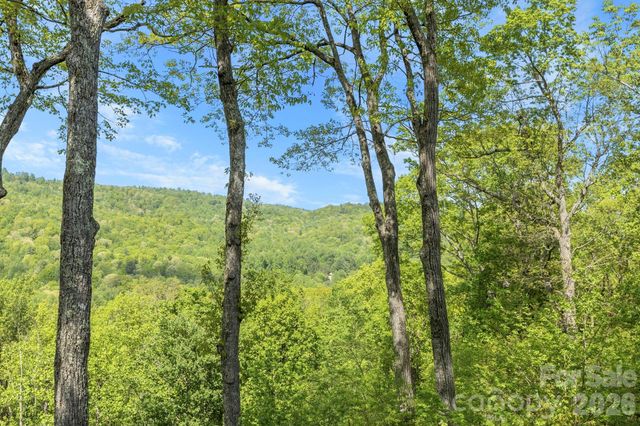 8 Spring Ridge Lane, Hendersonville, NC 28739