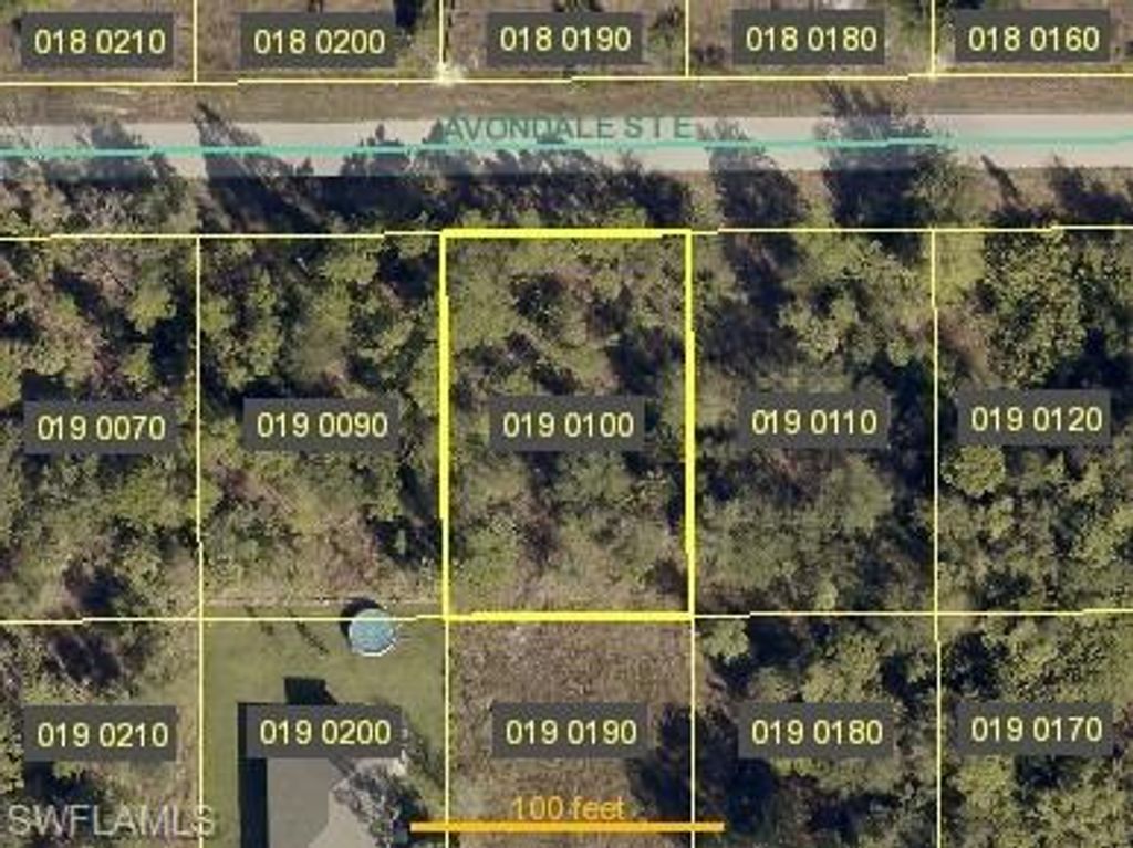 896 Avondale ST E, LEHIGH ACRES, FL 33974 — exterior