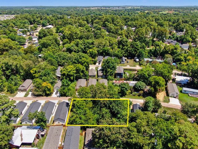 11547 Persimmon Street, Willis, TX 77318