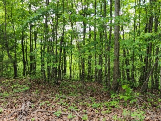 0 Froest Trails, Celina, TN 38551