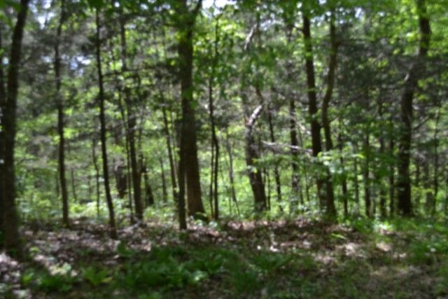 0 Froest Trails, Celina, TN 38551