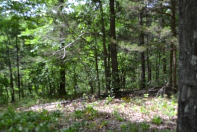 0 Froest Trails, Celina, TN 38551