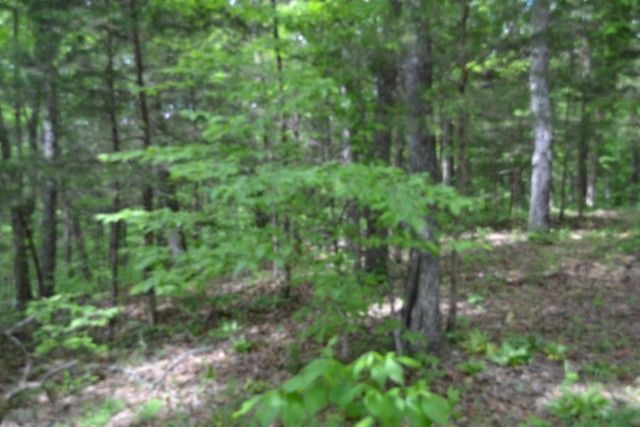0 Froest Trails, Celina, TN 38551