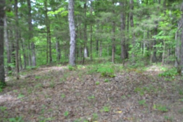 0 Froest Trails, Celina, TN 38551