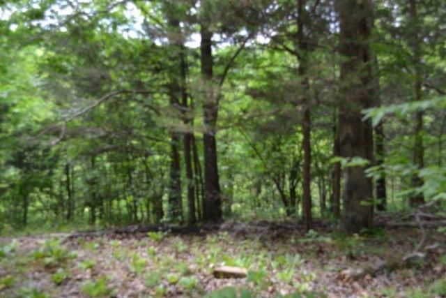 0 Froest Trails, Celina, TN 38551