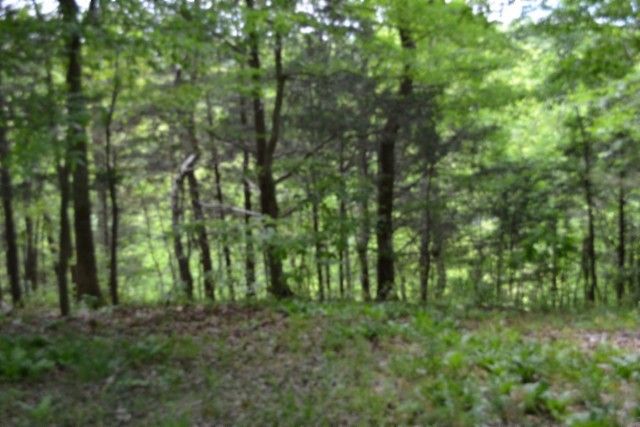 0 Froest Trails, Celina, TN 38551
