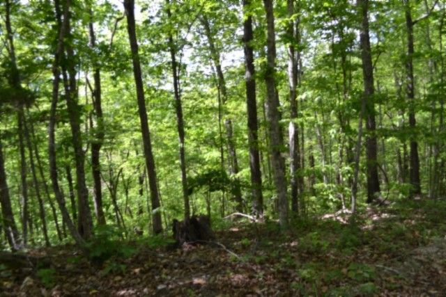 0 Froest Trails, Celina, TN 38551