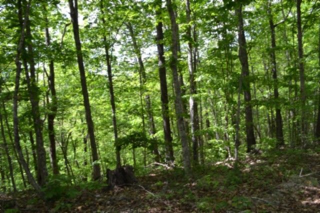 0 Froest Trails, Celina, TN 38551