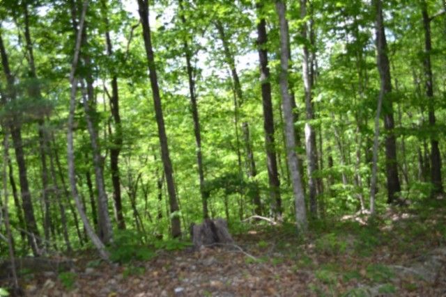 0 Froest Trails, Celina, TN 38551
