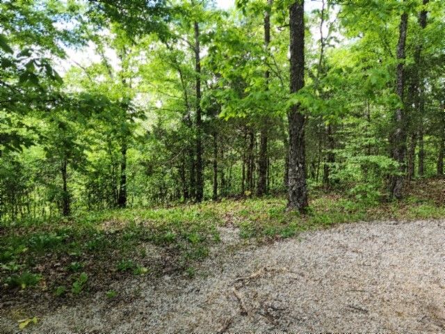 0 Froest Trails, Celina, TN 38551