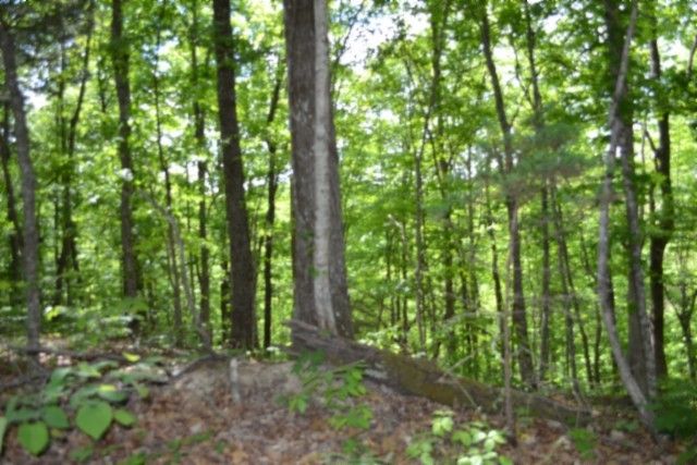 0 Froest Trails, Celina, TN 38551