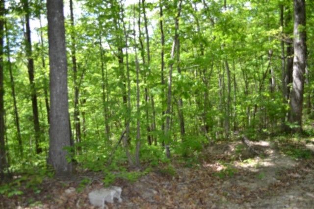 0 Froest Trails, Celina, TN 38551