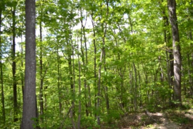0 Froest Trails, Celina, TN 38551