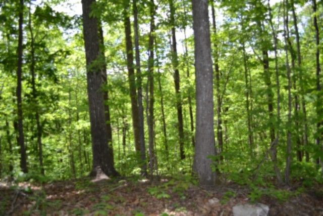 0 Froest Trails, Celina, TN 38551