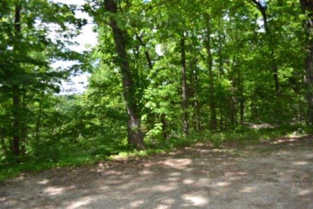 0 Froest Trails, Celina, TN 38551