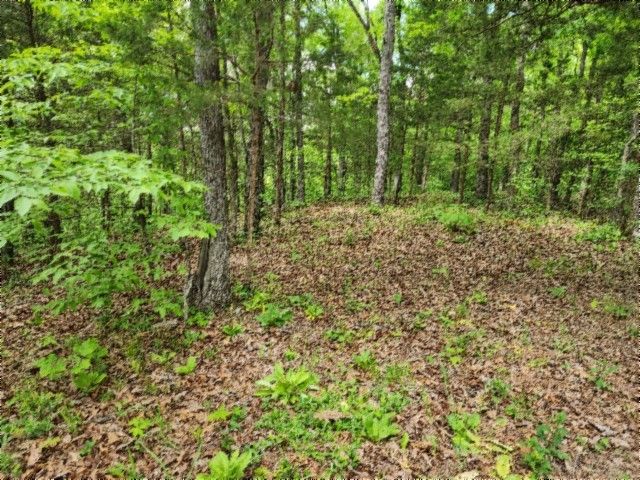 0 Froest Trails, Celina, TN 38551