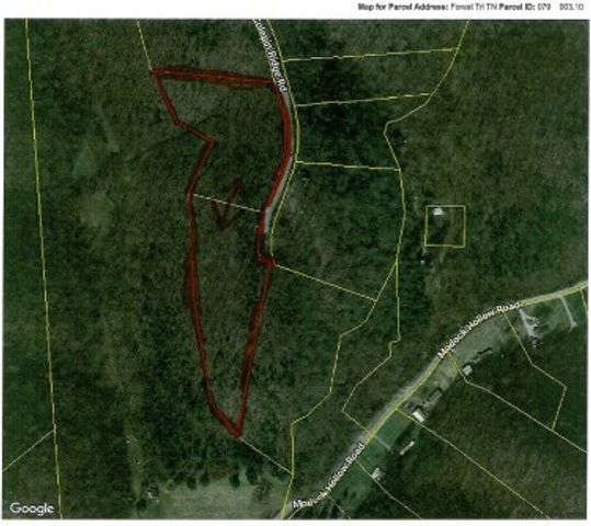 0 Froest Trails, Celina, TN 38551