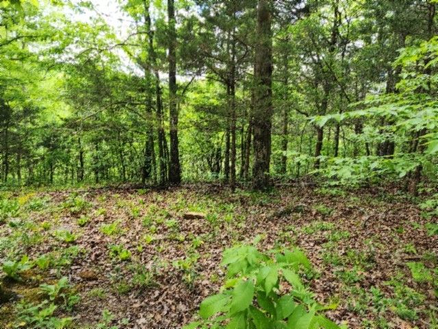 0 Froest Trails, Celina, TN 38551