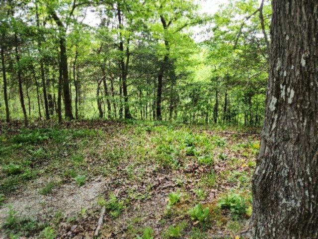 0 Froest Trails, Celina, TN 38551