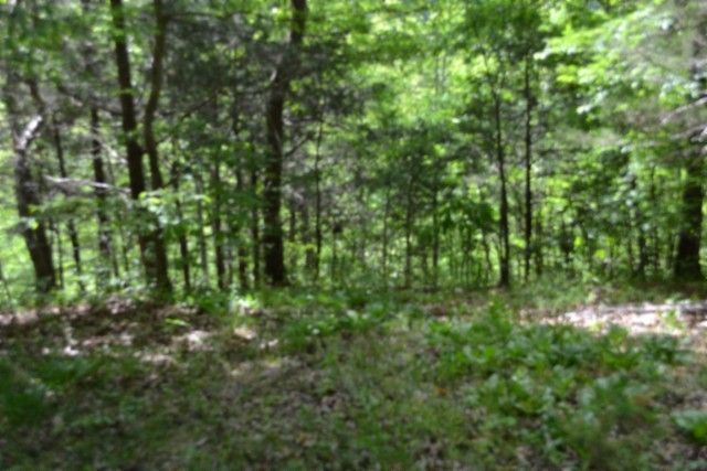 0 Froest Trails, Celina, TN 38551