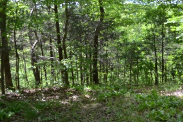 0 Froest Trails, Celina, TN 38551